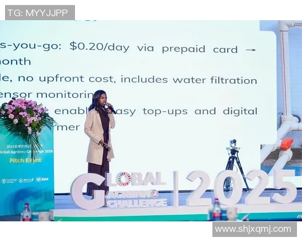 杭州网球队实力分析：聚焦训练与比赛成就的背后故事